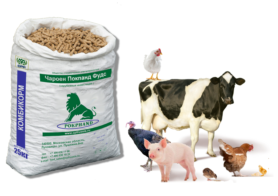 Animal Feed CP Foods